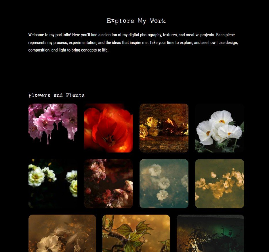 An artist polrfolio website example of recent work by Pack W Digital Design